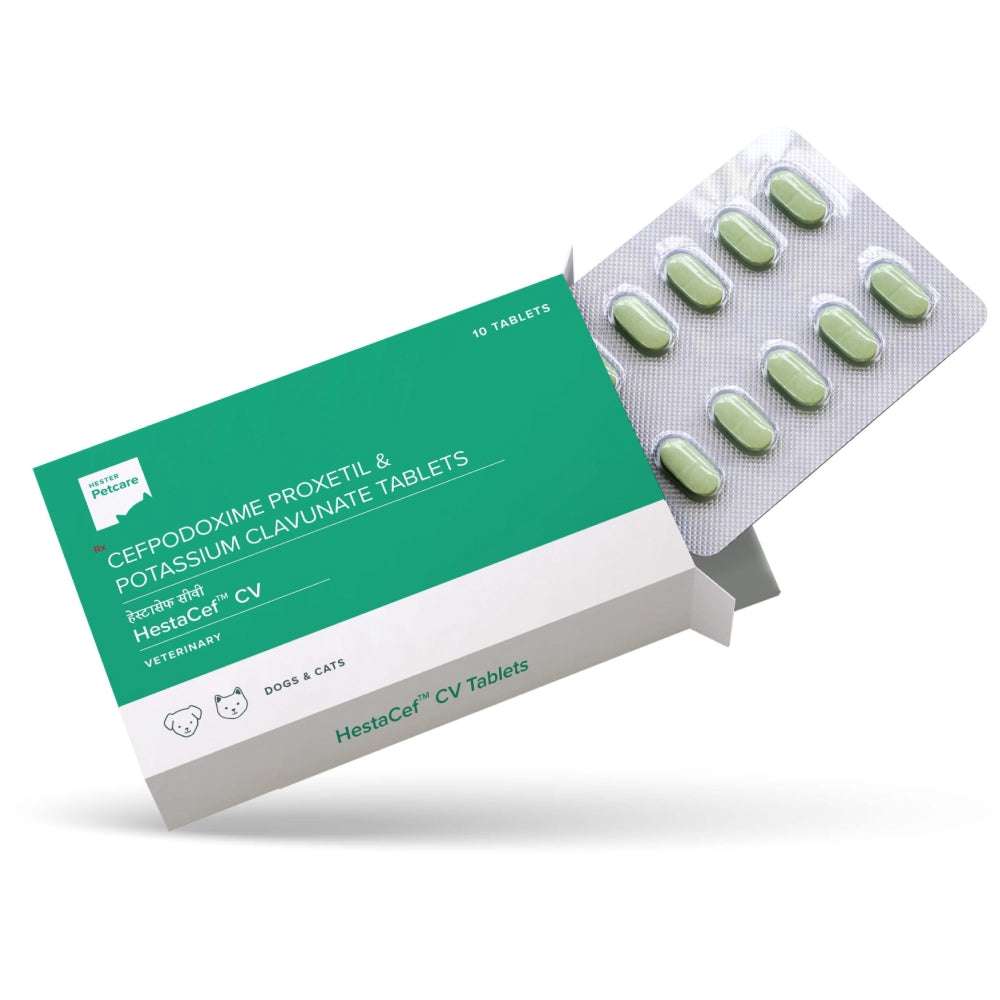 Hester Hestacef CV 162.5mg (Cefpodoxime Proxetil) for Dogs and Cats