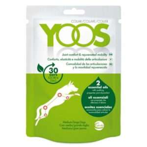 Vvaan YOOS 1 Collar for Dogs