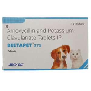 Skyec Beetapet Tablet 375mg for Dogs and Cats