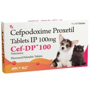 Skyec Cef-Dp 100mg for Dogs and Cats