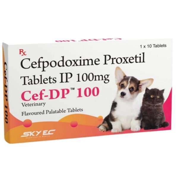 Skyec Cef-Dp 100mg for Dogs and Cats