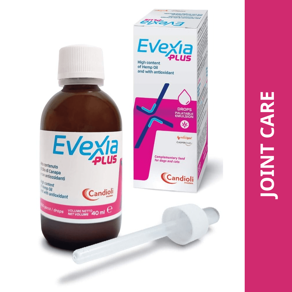 Candioli Evexia Plus Syrup for Dogs and Cats (40ml)
