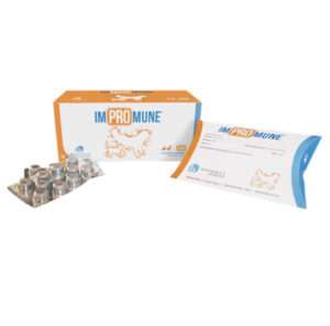 Vivaldis Impromune Tablets for Dogs and Cats