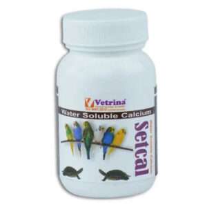 Vetrina Setcal Exotic Powder Calcium Supplement for Birds (125g)