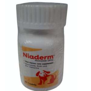 Vvaan Niaderm 250mg (Niacinamide) Capsules Derma Care Supplements for Dogs and Cats