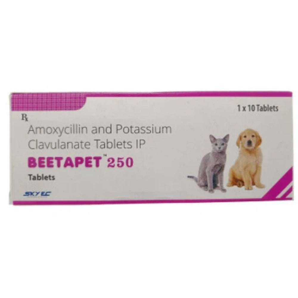 Skyec Beetapet Tablet 250mg for Dogs and Cats