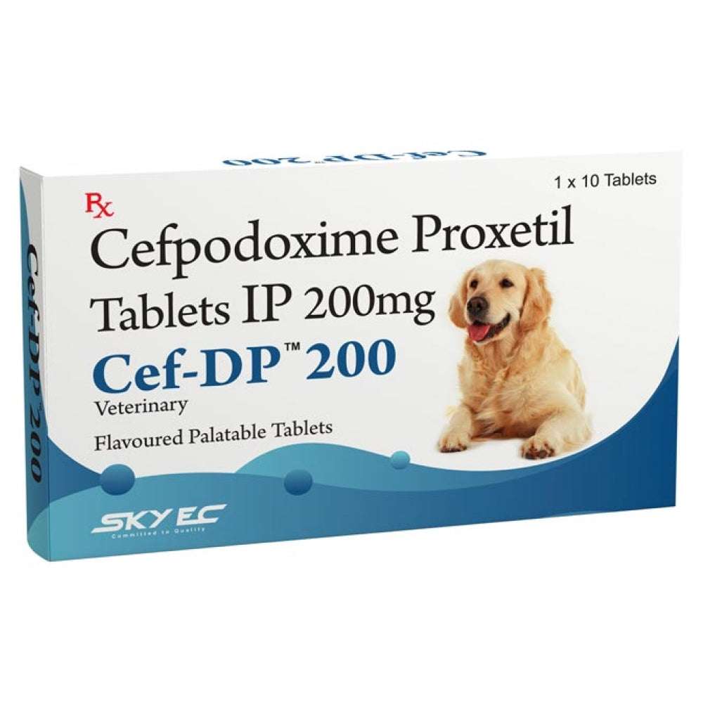 Skyec Cef-Dp 200mg for Dogs and Cats