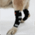 lana-paws-back-leg-compression-braces-for-hock-joint-ankle-support-mobility-for-dogs-and-cats-black
