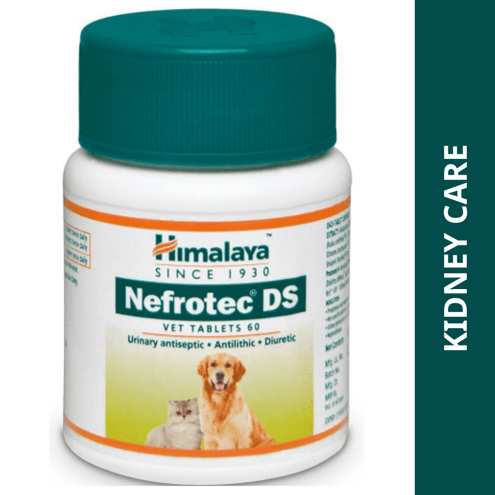 Himalaya Nefrotech DS Vet Tablets for Dogs and Cats
