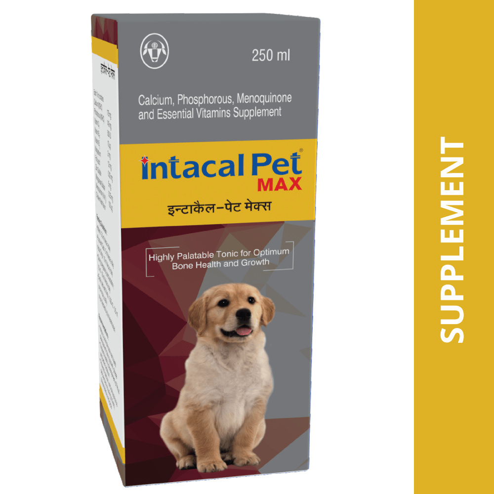 Intas Intacal Pet Max for Calcium & Multivitamin Supplement Dogs and Cats (250ml)