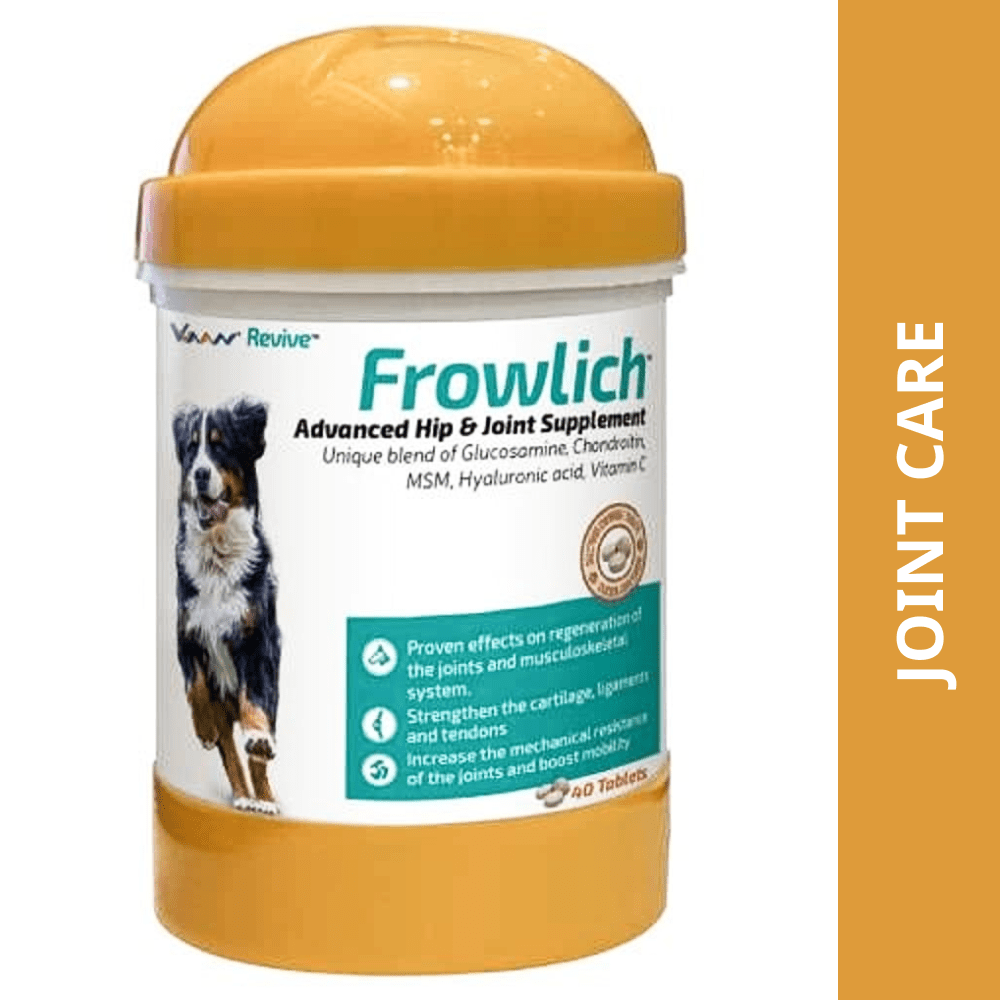 Vvaan Frowlich Tablet (pack of 40 tablets)