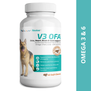 Vvaan V3 OFA Tablet Omega 3 & 6 Supplements for Dogs (pack of 40 tablets)