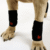 lana-paws-front-leg-splint-braces-for-carpal-support-and-mobility-for-dogs-and-cats-black