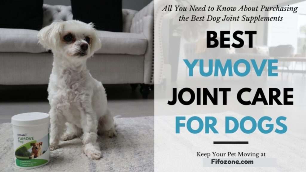 How to Choose a Joint Supplement with Glucosamine and Chondroitin