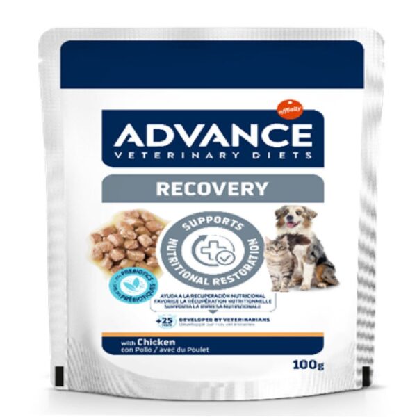 Advance Veterinary Diets Dog & Cat Wet Recovery