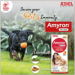 Aimil Amyron Liquid Supplement for Dogs and Cats image 3