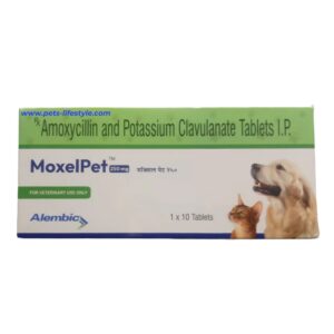 Alembic MoxelPet 250mg (Amoxycillin & Potassium Clavulanate) Tablet for Dogs and Cats