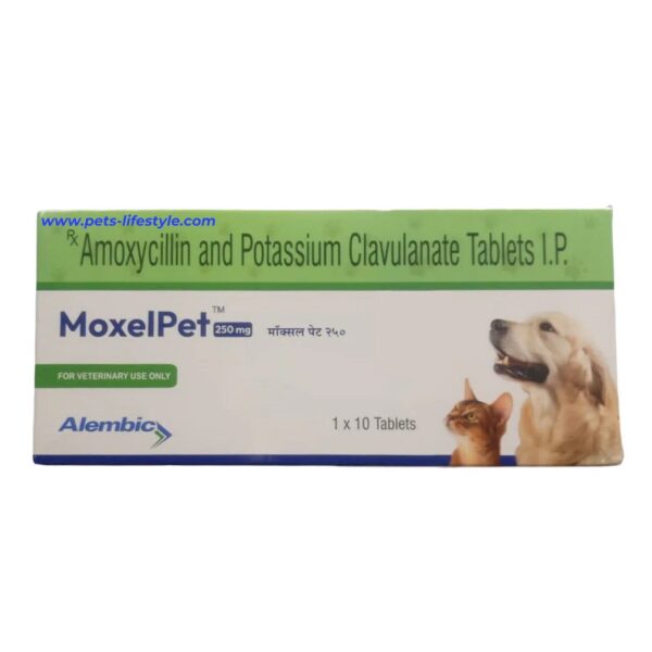 Alembic MoxelPet 250mg (Amoxycillin & Potassium Clavulanate) Tablet for Dogs and Cats