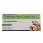 Alembic MoxelPet 250mg (Amoxycillin & Potassium Clavulanate) Tablet for Dogs and Cats image 2