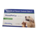 Alembic MoxelPet 500mg (Amoxycillin & Potassium Clavulanate) Tablet for Dogs and Cats image 2