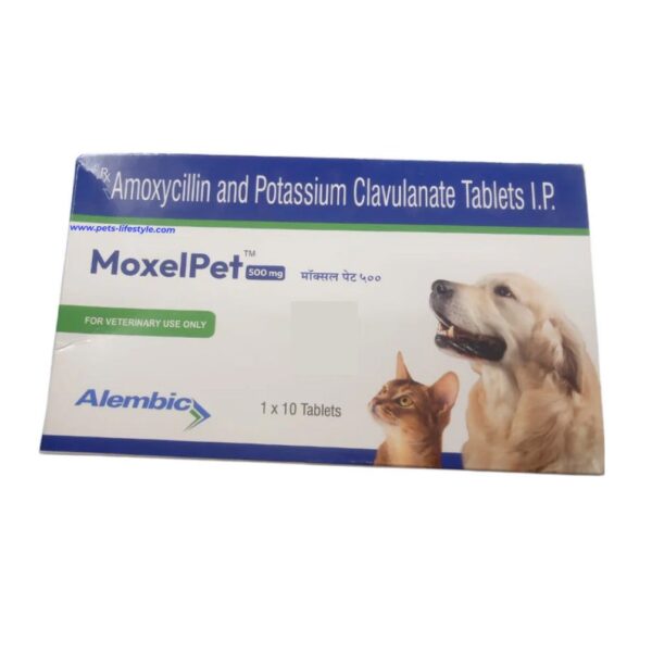 Alembic MoxelPet 500mg (Amoxycillin & Potassium Clavulanate) Tablet for Dogs and Cats