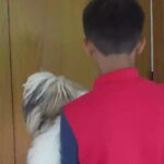 Bark Out Loud Essentials Real Chicken Mini and Small Breed Adult Dog Dry Food image 3