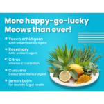 Bark Out Loud Salmon and Chicken Kitten Dry Food image 3