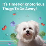 Bark Out Loud Tangle Free Serum for Dogs image 4