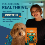 Bark Out Loud Thrive Chicken Flavour Adult Dog Dry Food image 3