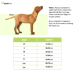Barkbutler x Fofos Diaper for Female Dogs (25x33cm) image 3