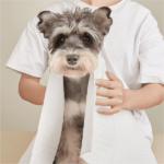 Barkbutler x Fofos Disposable Towels for Dogs image 4