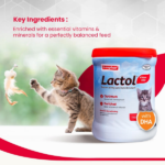 Beaphar Lactol Milk Replacement Powder for Kitten image 3