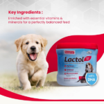 Beaphar Lactol New Born Milk Replacement Powder for Puppies image 3