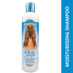 Bio Groom White Ginger Natural Scent Shampoo for Dogs and Cats image 1