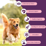 Bowlers Nutrimax Club Adult Dog Dry Food image 3