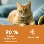 Bruno's Wild Essentials Chicken with Carrot & Pumpkin Cat Wet Food image 3