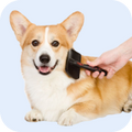 Chip Chops Sweet Potato Chicken Dog Treats image 11