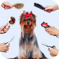 Chip Chops Sweet Potato Chicken Dog Treats image 13