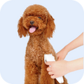Chip Chops Sweet Potato Chicken Dog Treats image 17