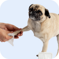 Chip Chops Sweet Potato Chicken Dog Treats image 18