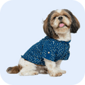 Chip Chops Sweet Potato Chicken Dog Treats image 25