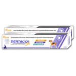Corise Dentacor Oral Gel for Dogs and Cats image 2