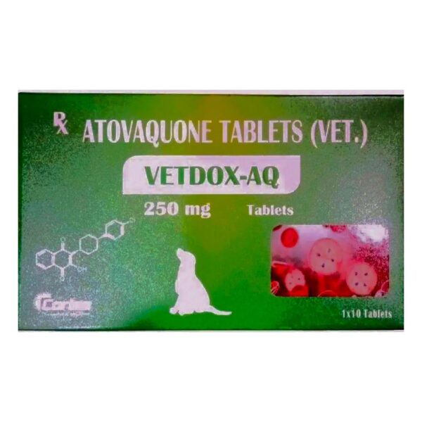 Corise Vetdox AQ 250mg Tablets (Atovaquone) for Dogs and Cats