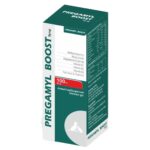 Corsie Pregamyl Boost Syrup Immunity Supplement for Dogs and Cats image 2