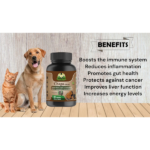 Cure By Design Chaga Mushroom Capsules for Dogs and Cats image 4