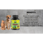 Cure By Design Cordycep Mushroom Capsules for Dogs and Cats image 3