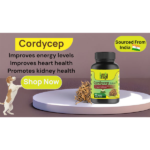 Cure By Design Cordycep Mushroom Capsules for Dogs and Cats image 4