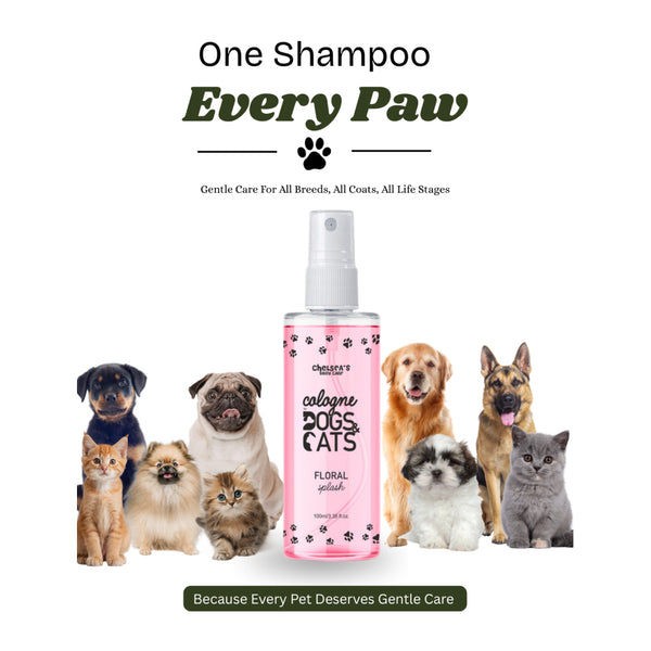 Dr. Chelsea's Floral Splash Cologne for Dogs and Cats
