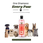 Dr. Chelsea's Strawberry Fruit Conditing Shampoo for Cats & Dogs image 3