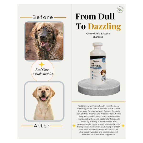 Dr. Chelsea’s Anti Bacterial Shampoo for Dogs & Cats